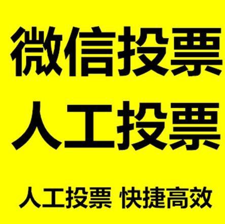 陇南市投票活动拉票能被查出来吗？如何操作能不被发现？